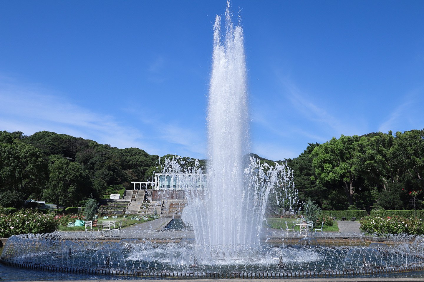 🌸 스마리큐 공원(스마리큐 코엔) 이미지 6